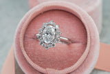 Lab Grown Diamond Oval Cut Halo Diamond Ring M3100