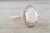 Penelope Oval Opal Diamond Halo Ring