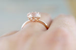 8mm Melrose 14k Gold Round Morganite Ring