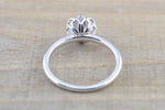 Melrose Solitaire Round Moissanite 8mm Ring Charles & Colvard