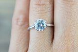 Melrose Solitaire Round Moissanite 8mm Ring Charles & Colvard