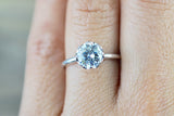 Moissanite  Gold Solitaire Round 8mm Melrose