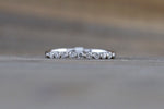 14k White Gold Diamond Stackable Band Engagement Promise Ring Love Bead Single Prong